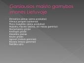 Maisto produktų gamyba 7 puslapis