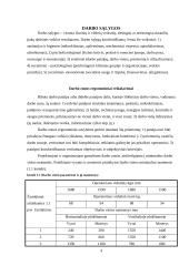 Referatas: Darbo sąlygos  4 puslapis