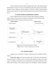 Darbo našumo ir darbo užmokesčio kursinis 13 puslapis