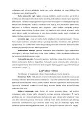 Darbo našumo ir darbo užmokesčio kursinis 14 puslapis