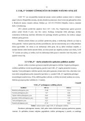 Darbo našumo ir darbo užmokesčio kursinis 18 puslapis