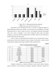 Darbo našumo ir darbo užmokesčio kursinis 20 puslapis