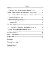 Darbo našumo ir darbo užmokesčio kursinis 3 puslapis