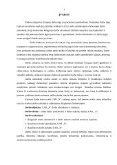 Darbo našumo ir darbo užmokesčio kursinis 4 puslapis