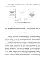 Laisvalaikio organizavimas kaip kultūrinio turizmo paslauga 11 puslapis