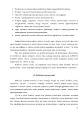 Laisvalaikio organizavimas kaip kultūrinio turizmo paslauga 16 puslapis