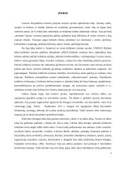 Laisvalaikio organizavimas kaip kultūrinio turizmo paslauga 4 puslapis