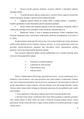 Laisvalaikio organizavimas kaip kultūrinio turizmo paslauga 8 puslapis