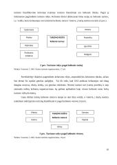 Laisvalaikio organizavimas kaip kultūrinio turizmo paslauga 10 puslapis