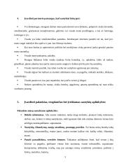 Palankių sanktykių su pasirinktu asmeniu formavimas 3 puslapis