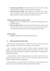 Palankių sanktykių su pasirinktu asmeniu formavimas 4 puslapis