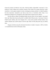 Kauno pilis - vertingas istorijos ir architektūros paminklas 2 puslapis