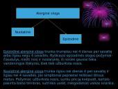 Vaikų alergijos skaidrės 16 puslapis