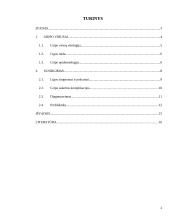 Gripo virusas 2 puslapis