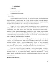 Gripo virusas 12 puslapis