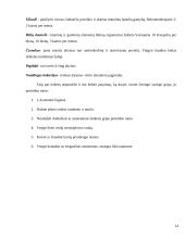 Gripo virusas 14 puslapis