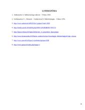 Gripo virusas 16 puslapis