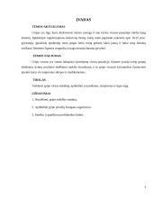 Gripo virusas 3 puslapis