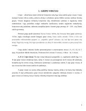 Gripo virusas 4 puslapis