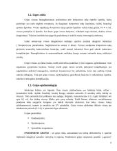 Gripo virusas 6 puslapis