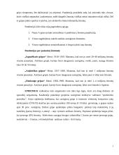 Gripo virusas 7 puslapis