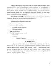 Gripo virusas 8 puslapis