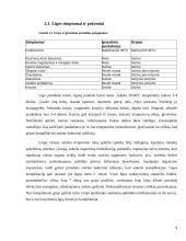 Gripo virusas 9 puslapis