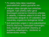 Stresas, nuovargis, pervargimas 17 puslapis