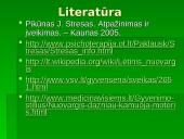 Stresas, nuovargis, pervargimas 20 puslapis