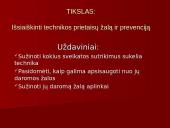 Technikos žala organizmui 2 puslapis