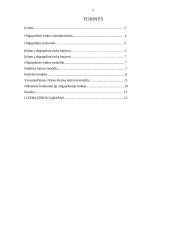 Oligopolija - Mikroekonomikos pagrindų referatas 2 puslapis