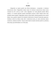 Oligopolija - Mikroekonomikos pagrindų referatas 12 puslapis