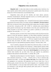 Oligopolija - Mikroekonomikos pagrindų referatas 4 puslapis