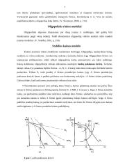 Oligopolija - Mikroekonomikos pagrindų referatas 7 puslapis
