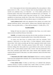 Oligopolija - Mikroekonomikos pagrindų referatas 8 puslapis