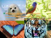 Globalinis atšilimas skaidrės 9 puslapis