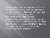 Lietuva ir Nato skaidrės 7 puslapis