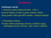 Judėjimo gebėjimų lavinimo metodiniai ypatumai 13 puslapis