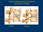 Judėjimo gebėjimų lavinimo metodiniai ypatumai 17 puslapis