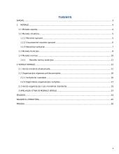 Referatas. Organizacija ir jos darbuotojų moralinė atsakomybė 2 puslapis