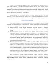 Referatas. Organizacija ir jos darbuotojų moralinė atsakomybė 7 puslapis