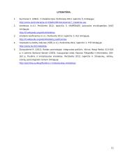 Referatas - Intelektas 12 puslapis