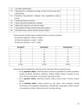 Referatas - Intelektas 15 puslapis