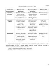 Referatas - Intelektas 17 puslapis