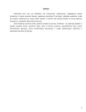 Referatas - Intelektas 5 puslapis