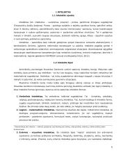 Referatas - Intelektas 6 puslapis