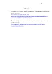 Referatas - Emocinis intelektas 11 puslapis