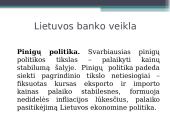 Centrinis bankas skaidrės 13 puslapis