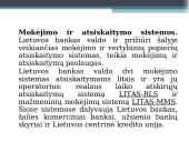 Centrinis bankas skaidrės 17 puslapis