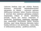 Centrinis bankas skaidrės 19 puslapis